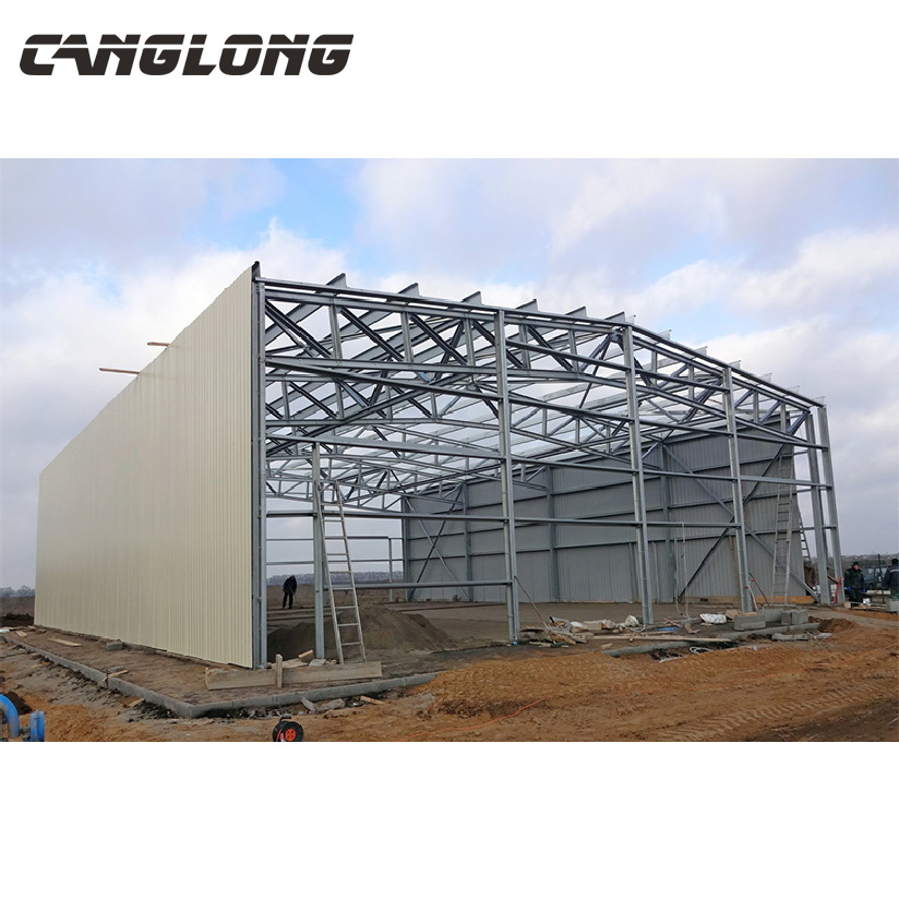 Large Span Steel Space Structure Warehouse in Cameroon