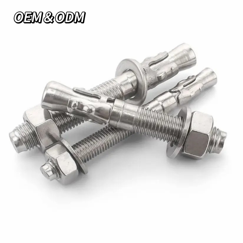 M6 M8 M10 Stainless Steel SS304 316 Door Frame Fixing Concrete Expansion Anchor Bolt