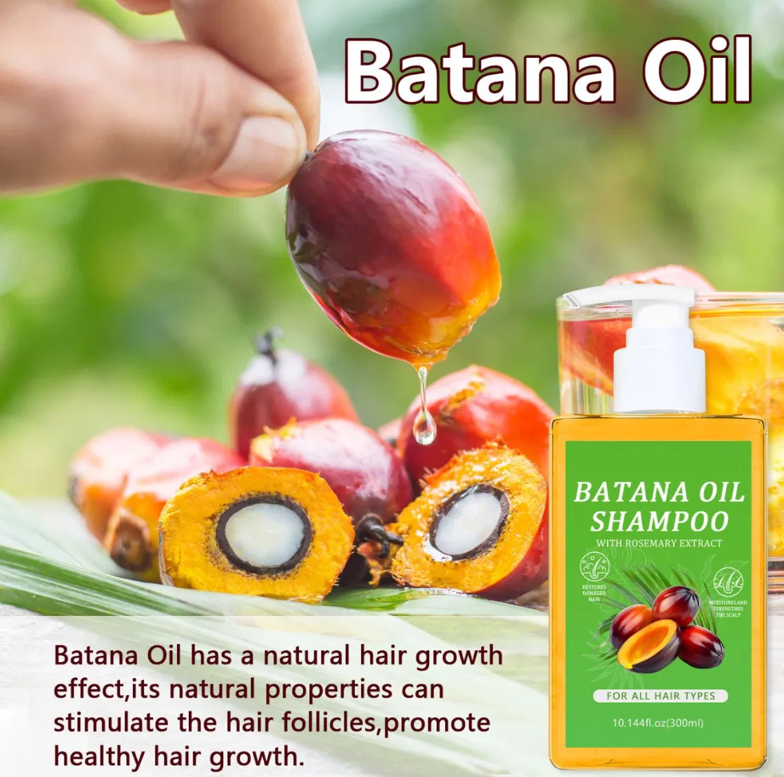 Online Wholesale and Retail Batana Oil Conditioner and Shampoo with Batana Oil for Hair Growth Scalp Treatment Batana Oil Rosemary Biotin Shampoo