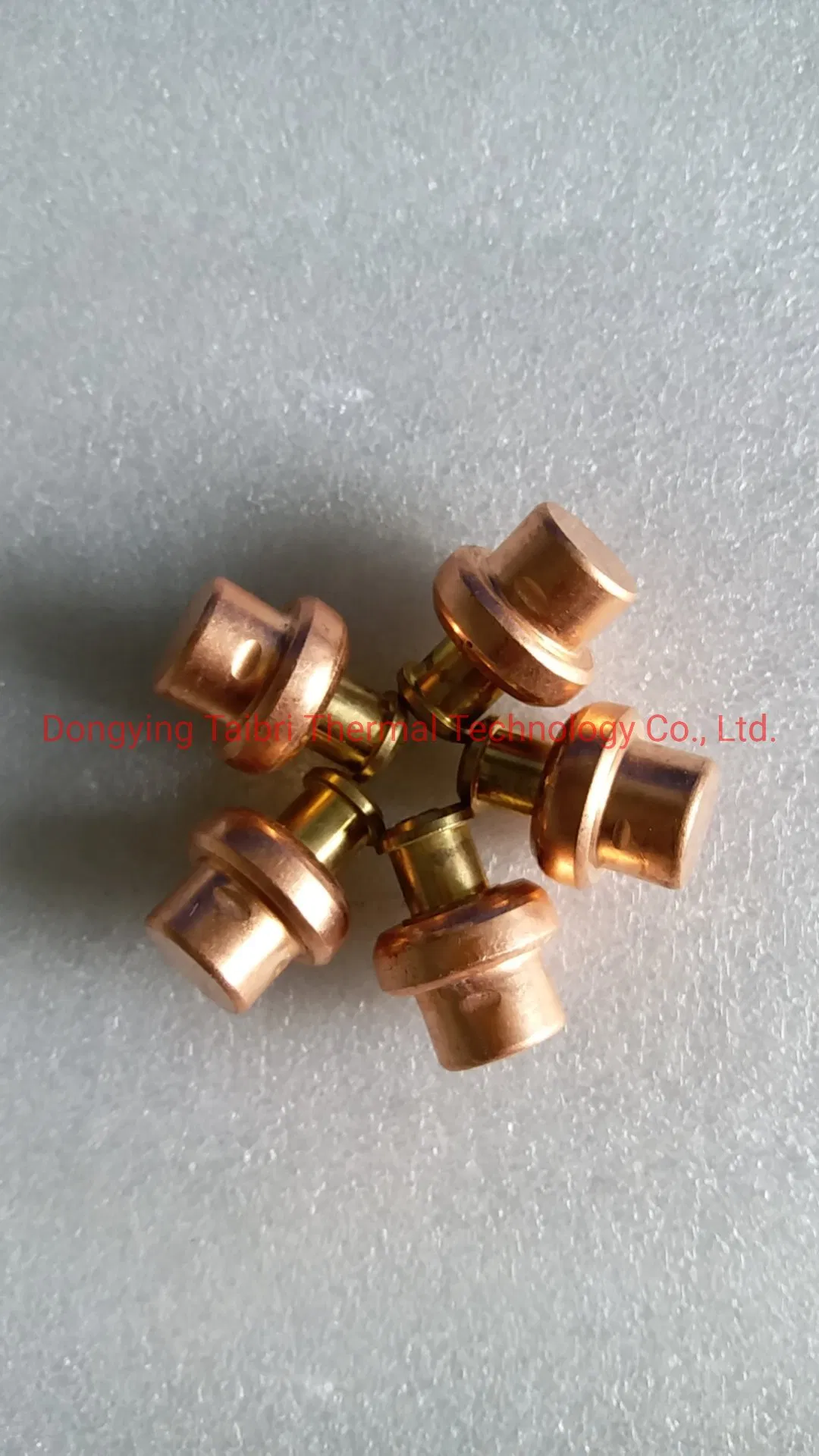 Thermal Electric Actuator Core Used in 220V /24V Waterproof Floor Heating Actuator radiator Thermostat Head