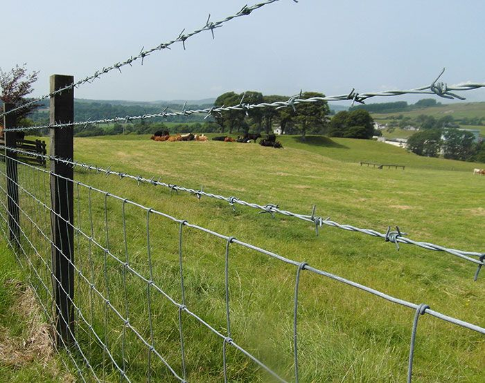 Farm Fence Cattle Net Protect Animals and Resist The Invasion of Wild Animals