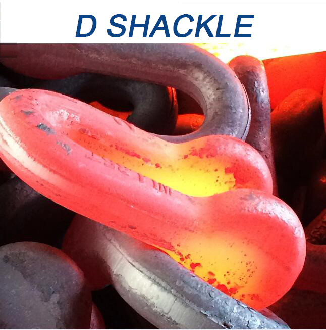 High quality Strong Mini D Shaped Bow Shackle 3mm Silver Color Marine Grade Stainless Steel