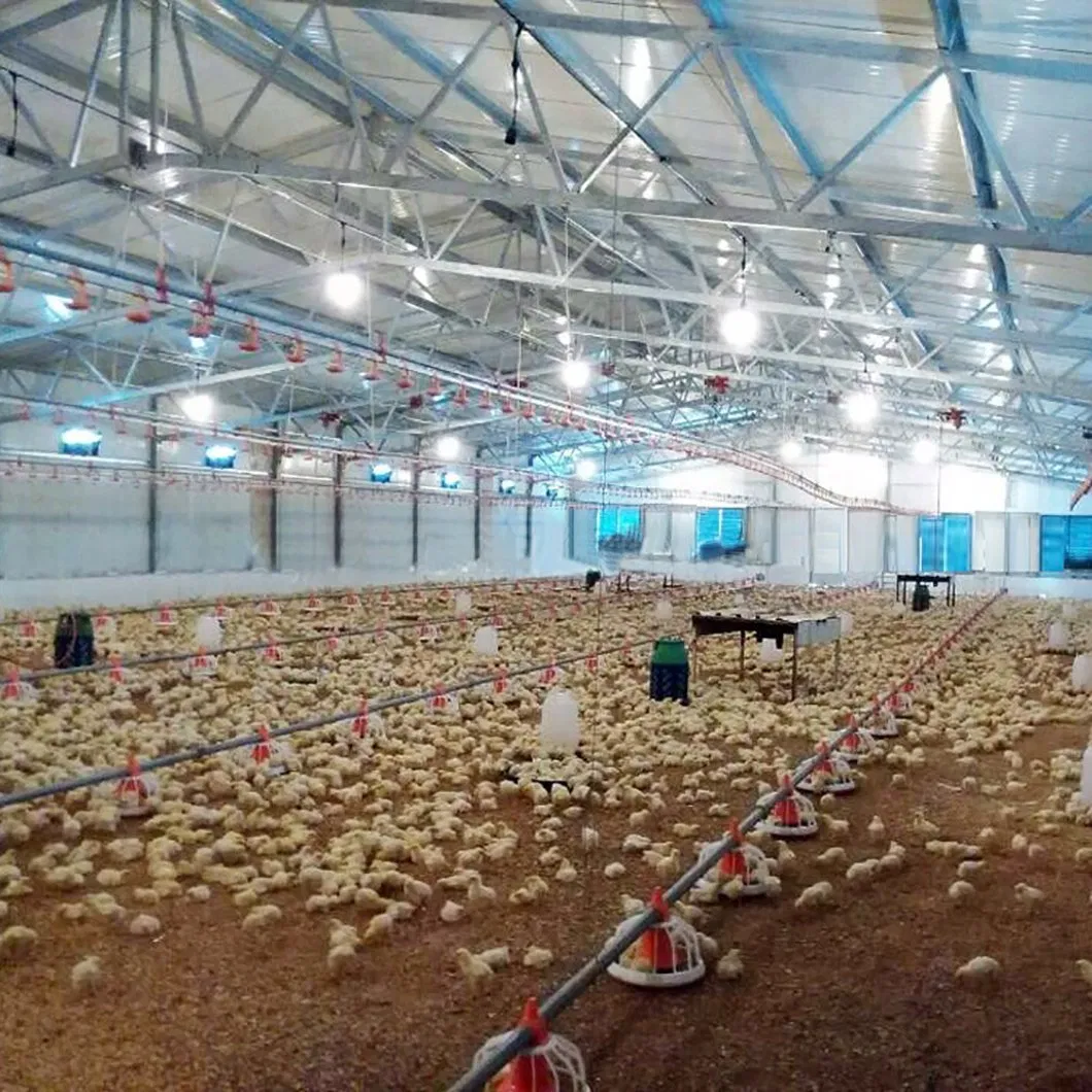 China Made Steel Struture Dismountable Panel House for Farm Poultry
