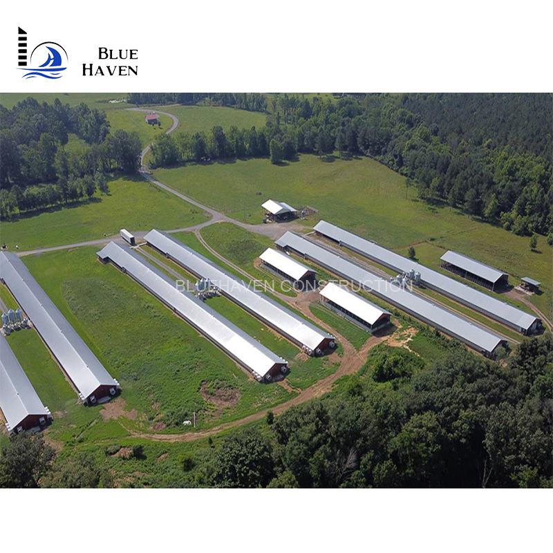 Steel Structure Layer Egg Chicken Cage Broiler Poultry Farm House