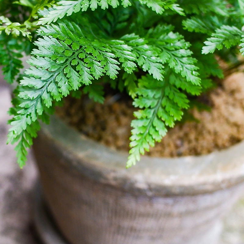 Декор садовый для балкона