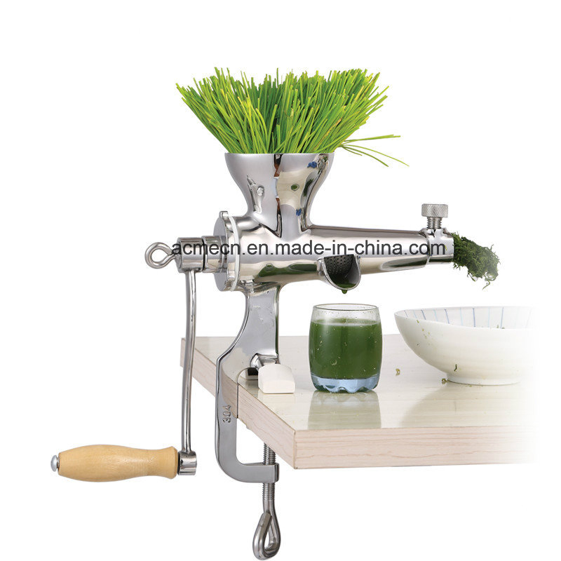 Household Vegetable Fruit Juicer Stainless Steel Manual Mini Juice Extractor