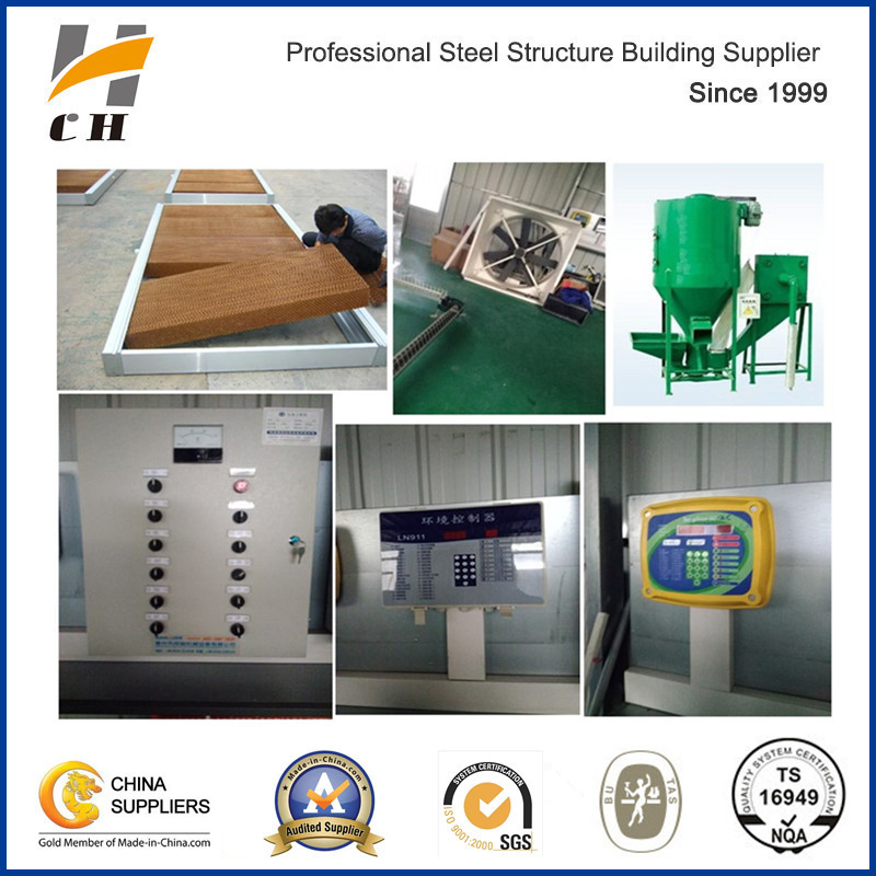 One-Stop Steel Structure Poultry Chicken House