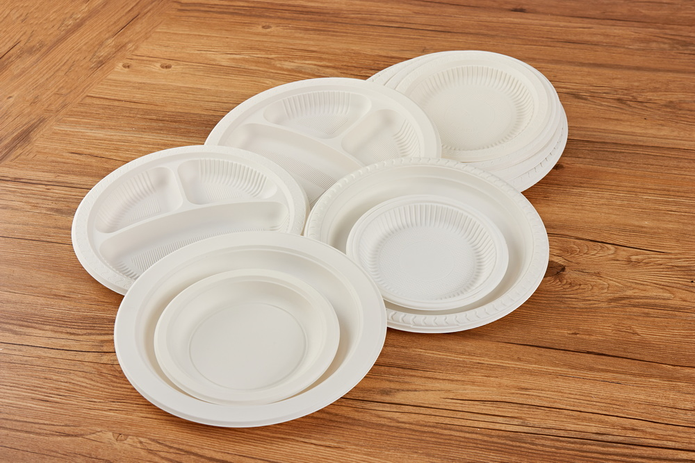 Heat-Resistant Disposable Eco-Friendly Plates 10 Inch Biodegradable Lunch Tray