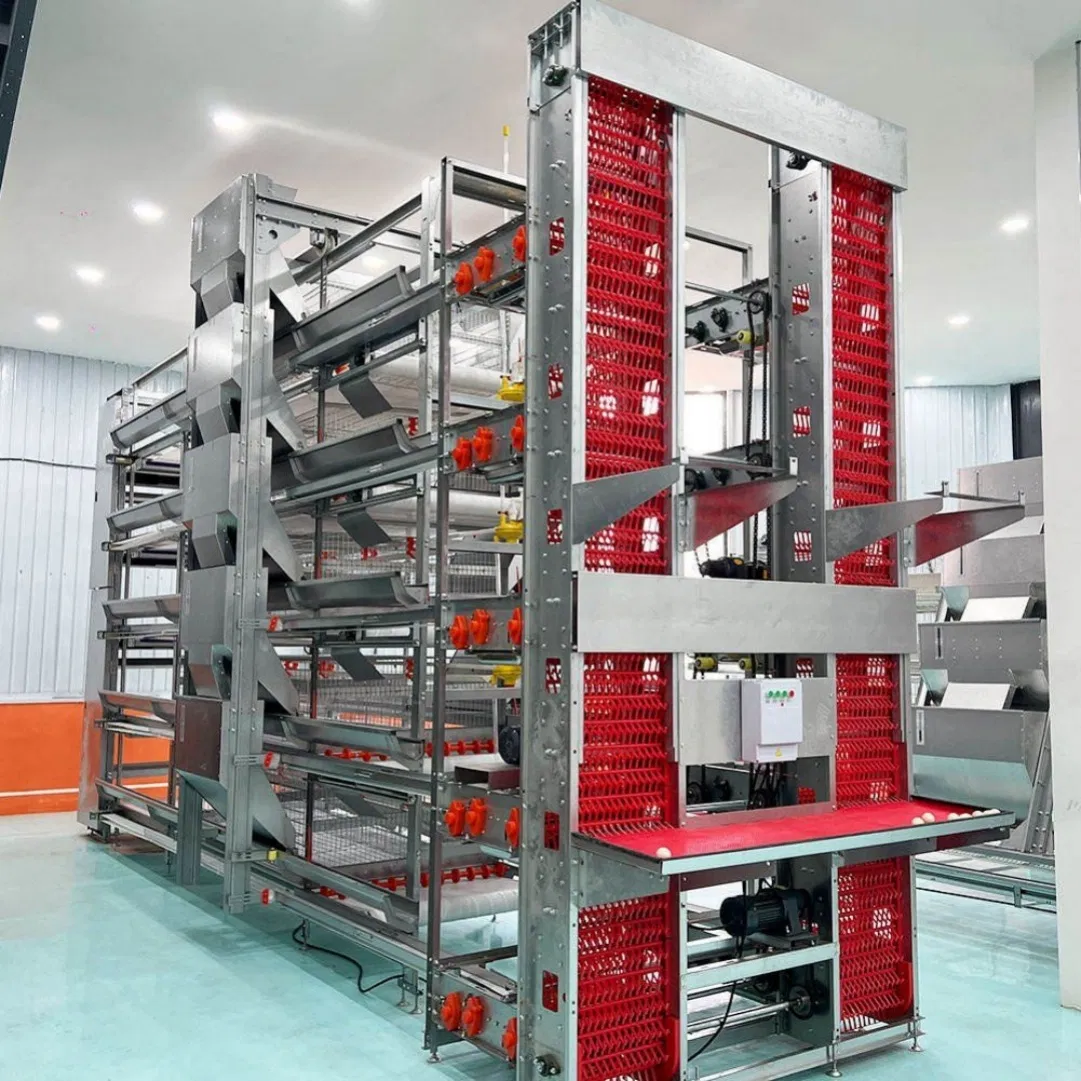 Pullet Growing Cage with Adjustable Height to Accommodate Different Bird Sizes