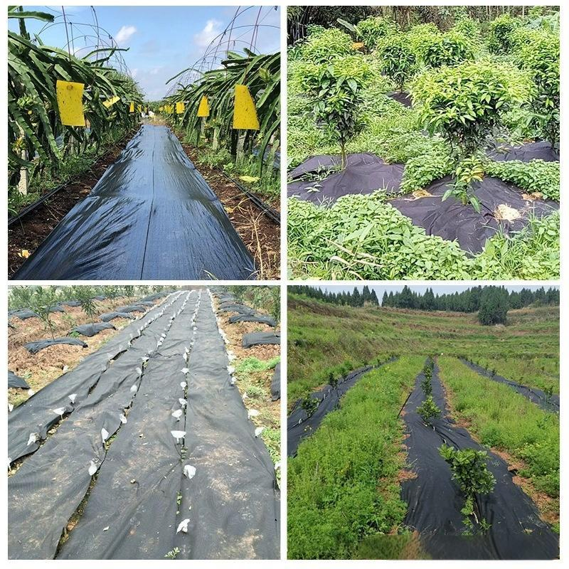 Heavy-Duty SGS China Supplier UV Treated Agriculture Garden Landscape Weed Barrier PP Woven Geotextile Fabric Anti Aging Weed Mat Weed Control Ground Cover