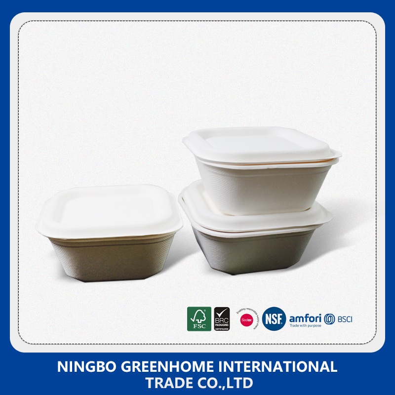 Biodegradable Compostable Dinner Set Sugarcane Bagasse Lunch Box