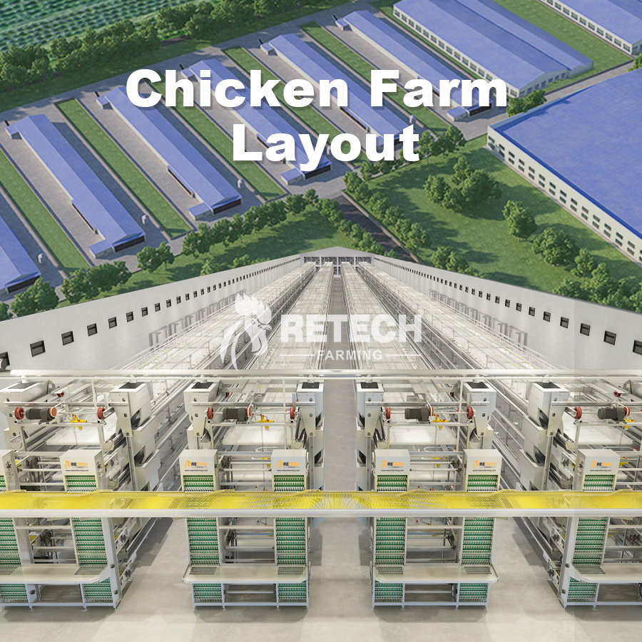 Low Cost Prefab Steel Structure Chicken House for Poultry Farming