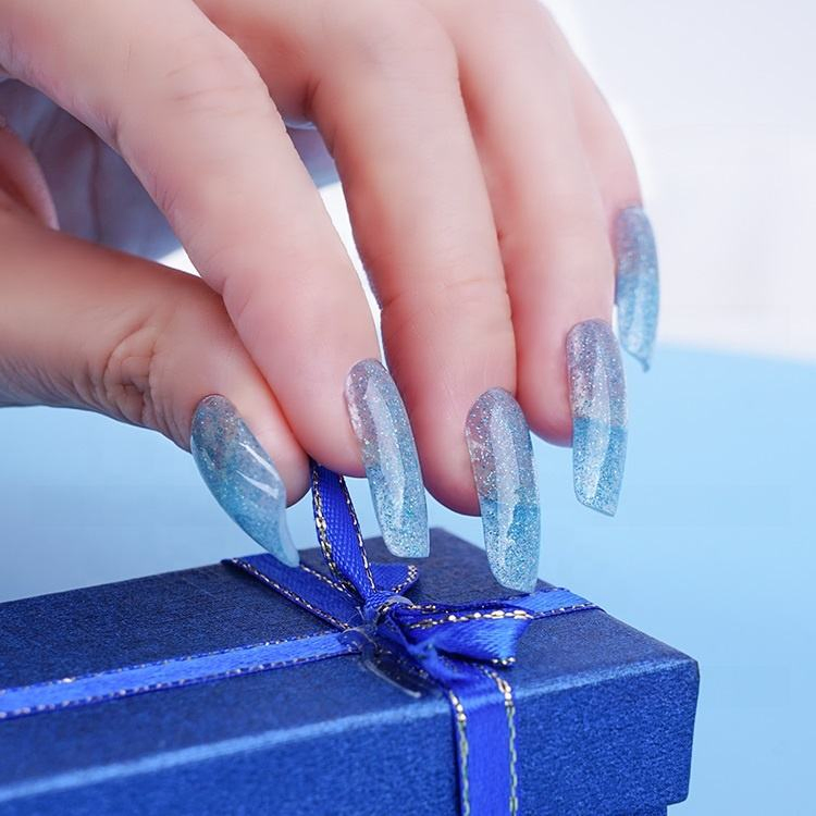 Free Samples RS Nail Ransheng Factory Offer Soak off Easy to Use Long Lasting Nail Extension Gel Pearl Glitter Gel
