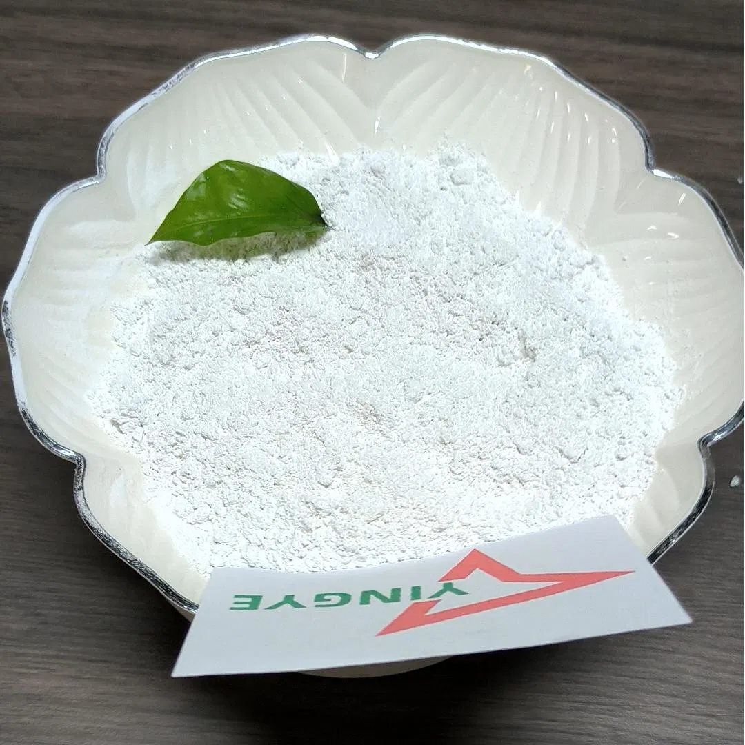 HPMC/Mhec/HEC Best Price for Tile Adhesive, White Cement Based Wall Putty