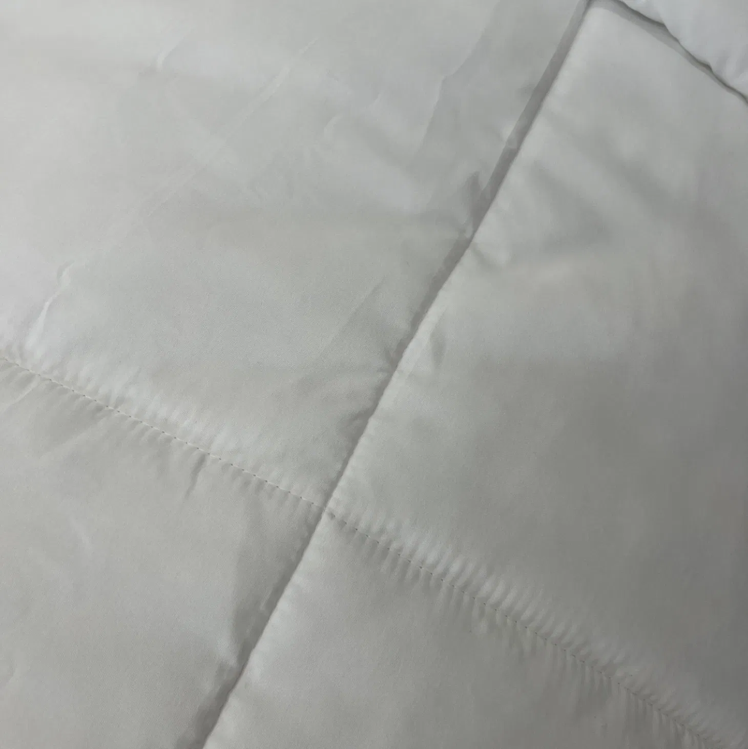 Polyester Cotton Comforter Insert Fluffy Duvet Inner Soft Cozy Microsoft Quilts