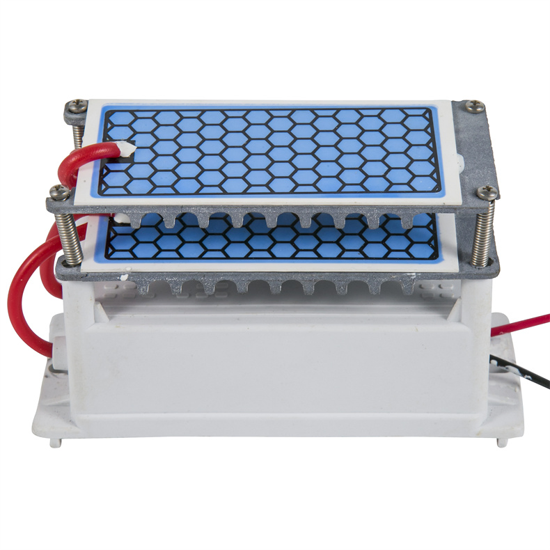 Portable Replacement 12/24/110/220V 5/10/15/20g Ceramic Plate Ozone Generator