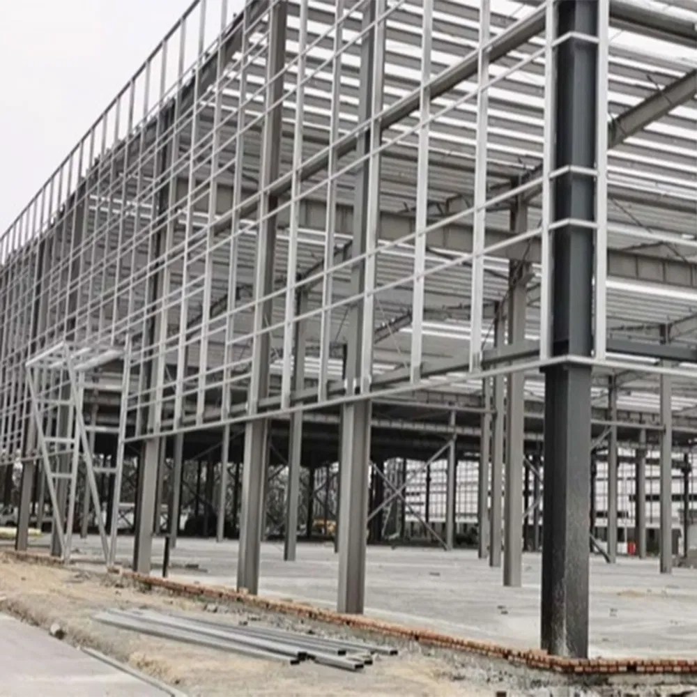 Pre Manufactured Custom Built Modular General Steel Insulated Cheap Metal Buildings for Sale