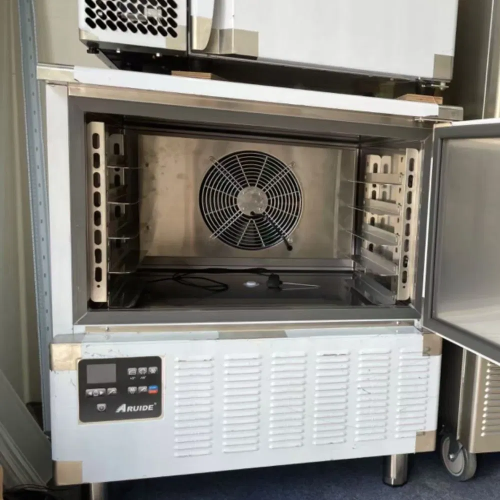 Professional Customizable Fast Chilling 304 Stainless Steel Upright Refrigerator Blast Freezer