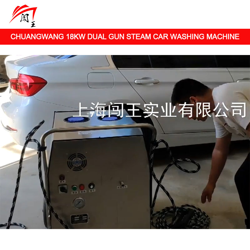 Double Gun Steam Car Washing Machine, 10 Seconds of Steam Output, Efficient Cleaning Without Waiting!