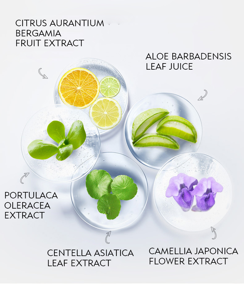 Private Label Facial Body Exfoliating Gel Organic Remove Dead Skin Cleanser