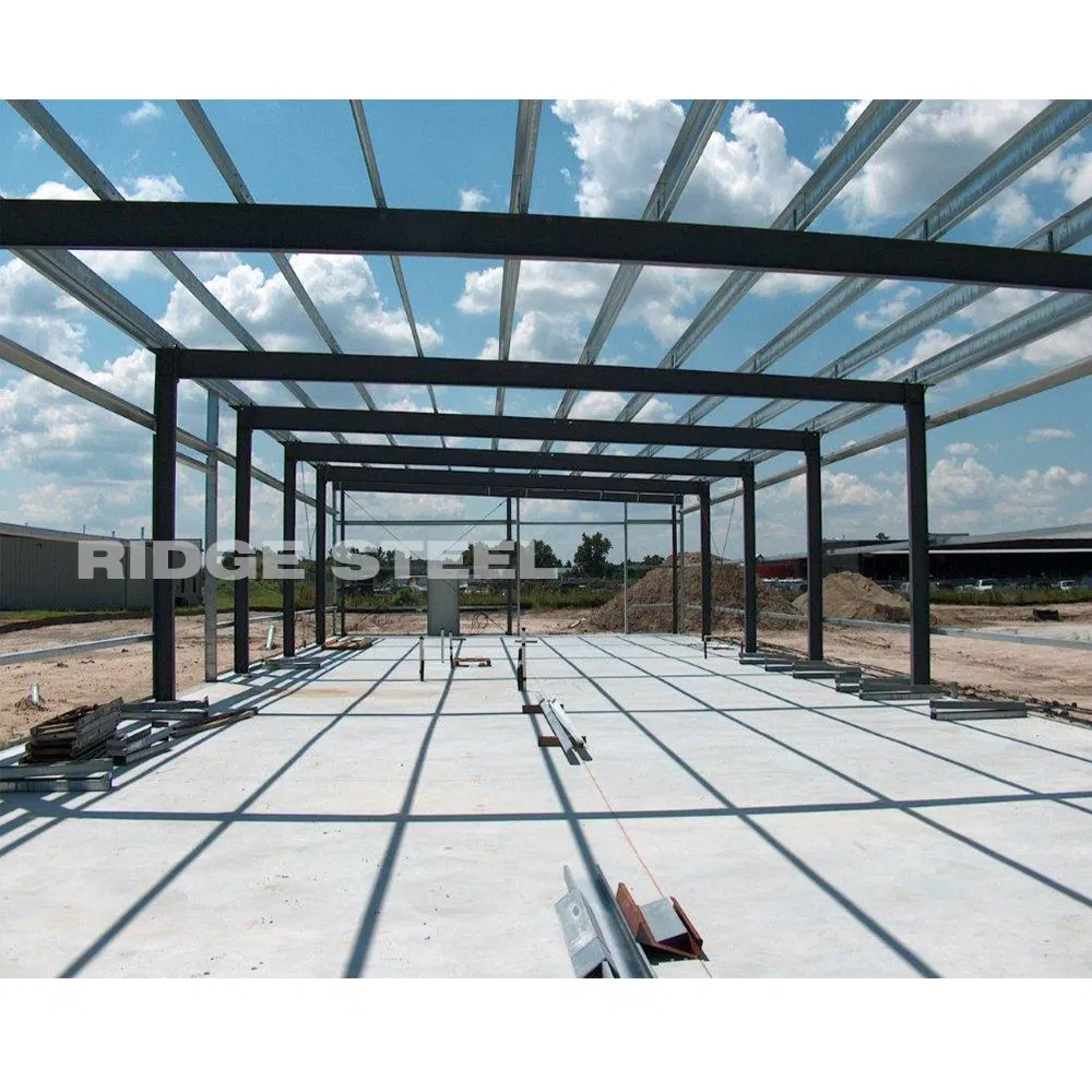 Fast Install Steel Structure Prefabricated Metal Structure Construction Building