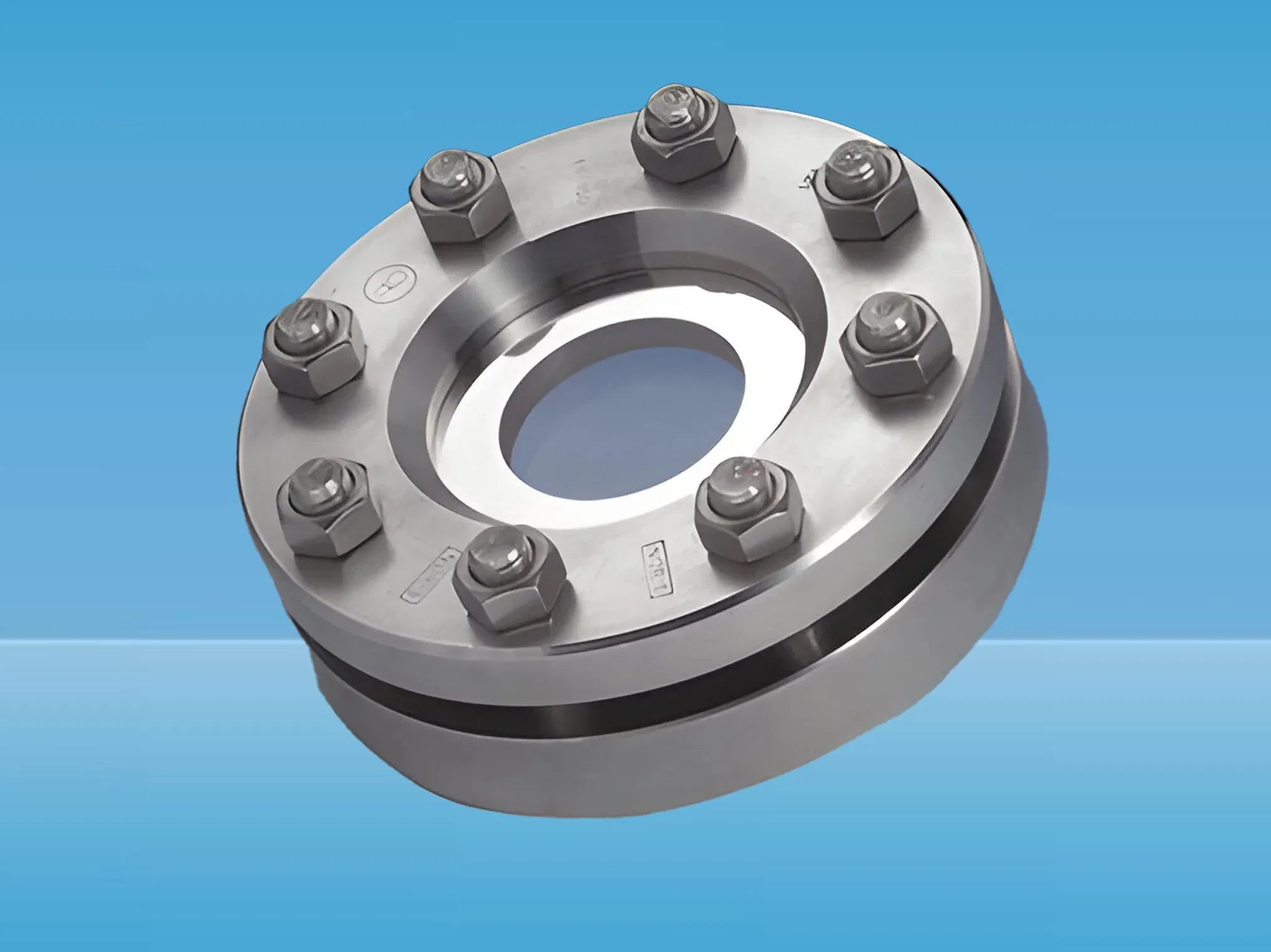 73type Sintered Sight Glass– Stainless Steel Weld Neck Inline Filter View Window