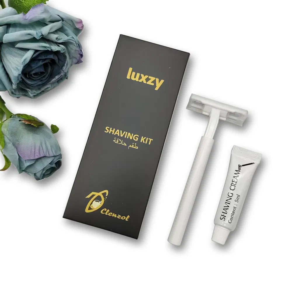 2-Layer Blades Plastic Shaving Razor for Hotel Disposable Razor Custom Hotel Amenities