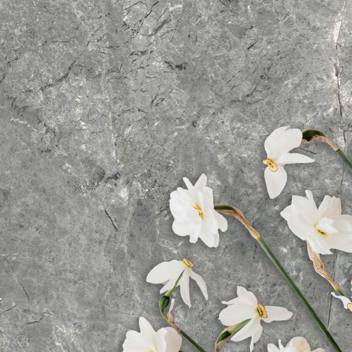 Плитка Porcelanato Riverstone 60x120