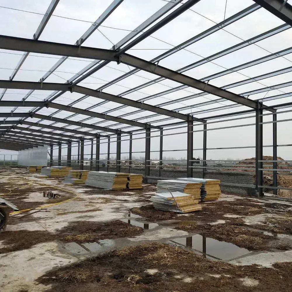 Prefab Fabricated Hangar Metal Steel Structure for Industrial Buildings