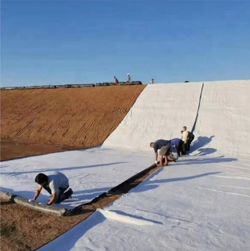 Bentonite Natural Geosynthetic Clay Liner (GCL) Blanket Bentonite Waterproof Carpet