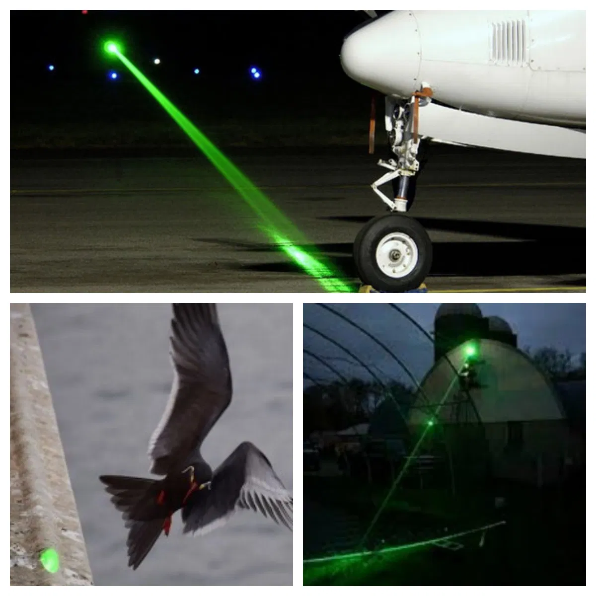 Outdoor Laser Bird Repeller Laser Light