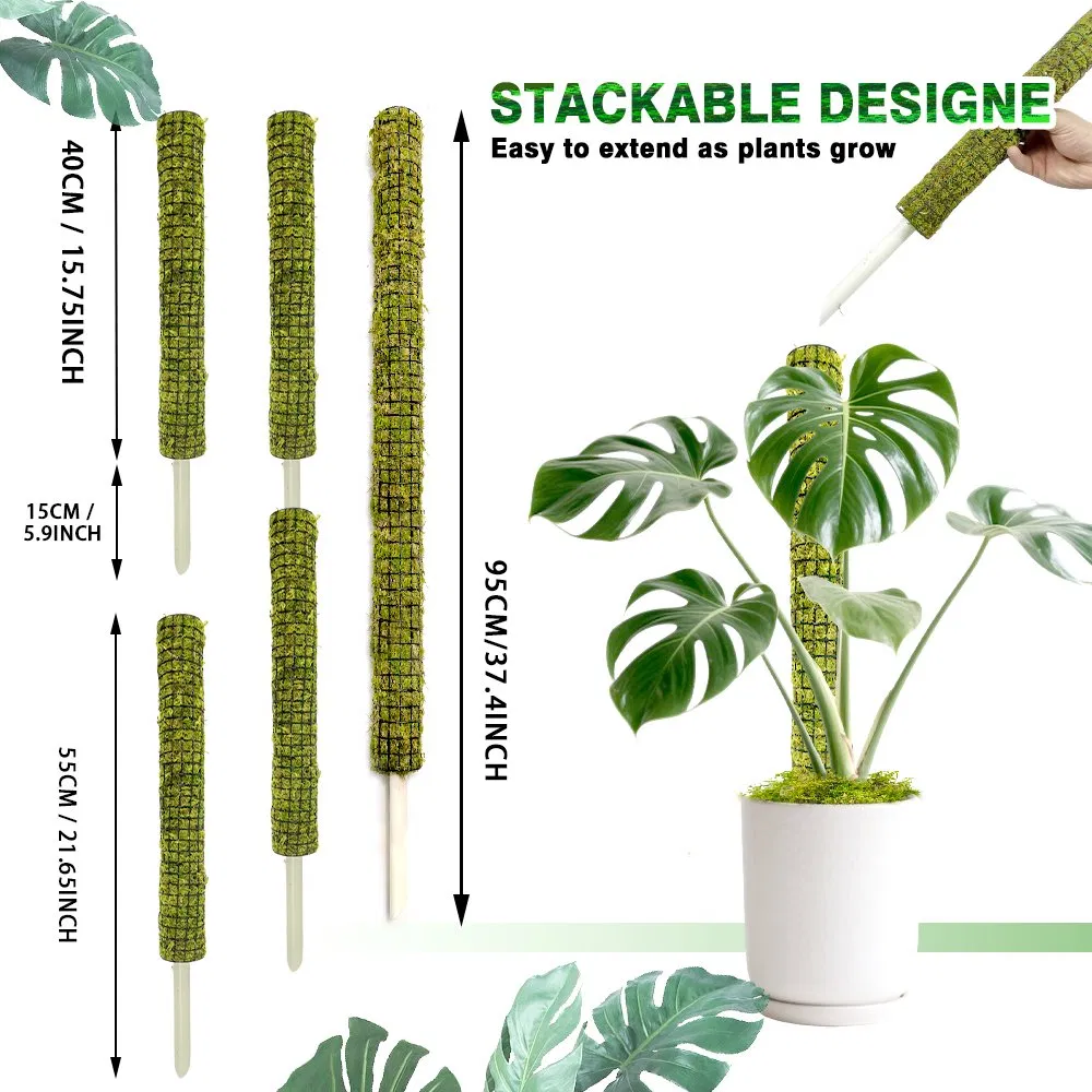 Moisture-Locking Stackable Green Moss Pole for Climbing Growth Monstera & Pothos Aerial Roots