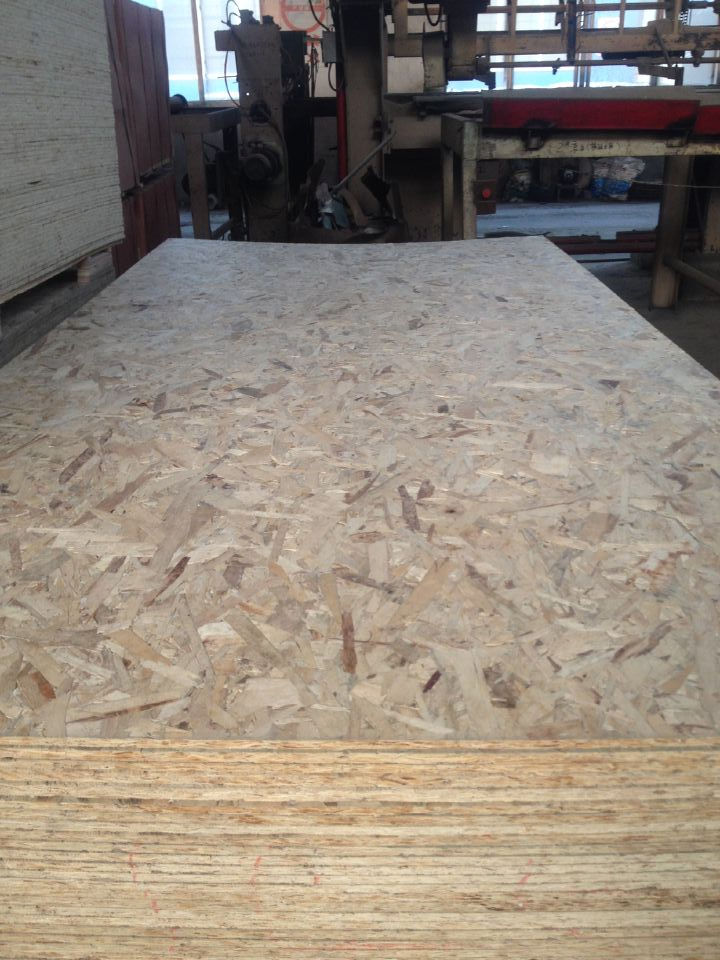 OSB (oriented strand board) From Factory in 9mm 12mm 15mm 18mm