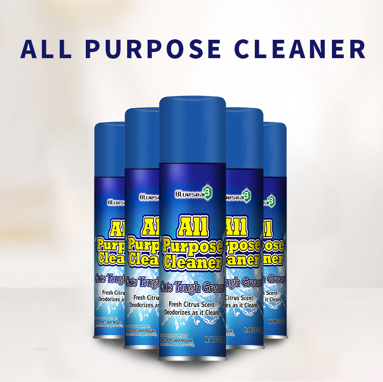 Multifunction Home Cleaning Spray Bottle Auto Glass Foam Cleaner