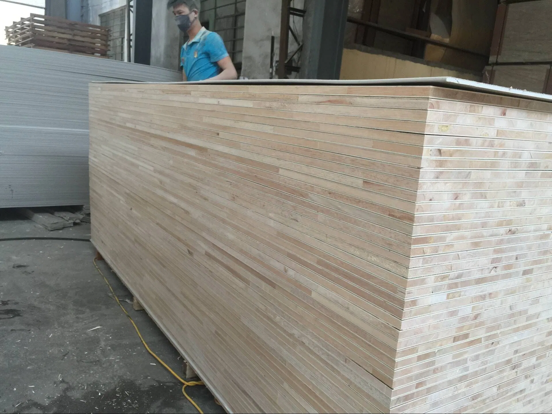 Blockboard Paulownia Wood Plywood with Double Core 25mm