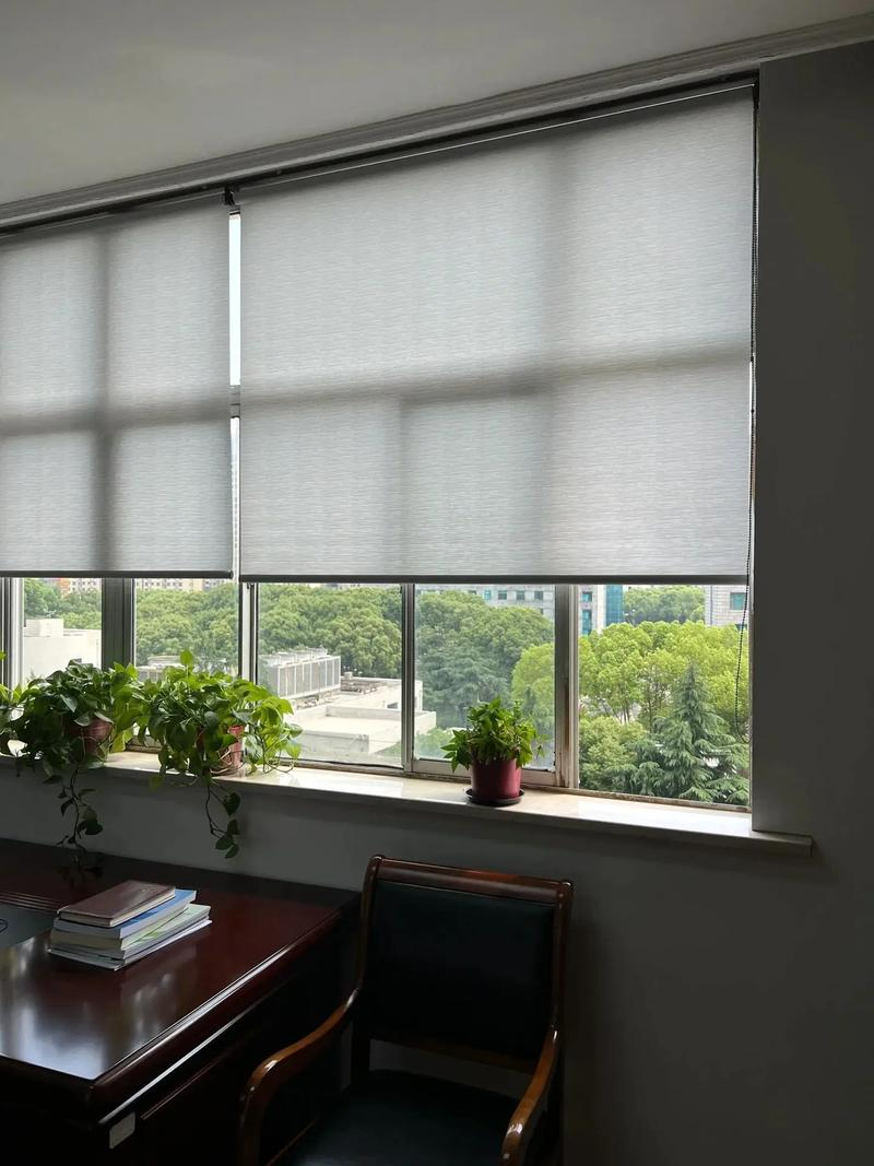 Manual Bean Chain Typeroller Blinds Popular Blackout Roller Daylight Roller Blinds