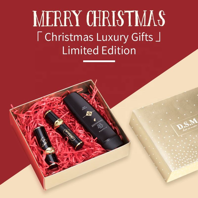 Dsm 3PCS/Set Bb Cream Lip Gloss Long-Lasting Colorful Christmas Makeup Set