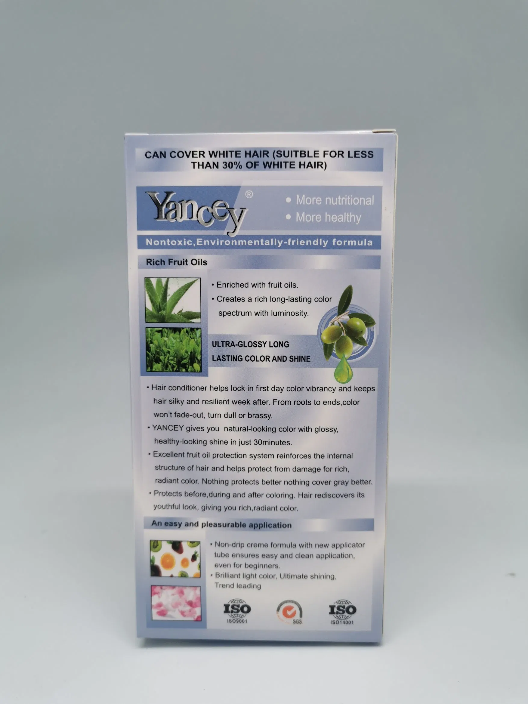 Low MOQ OEM China Powerful Factory Permanent 9 Minute Manufacturer Nature Cream Chart Dye Professional Hair Color