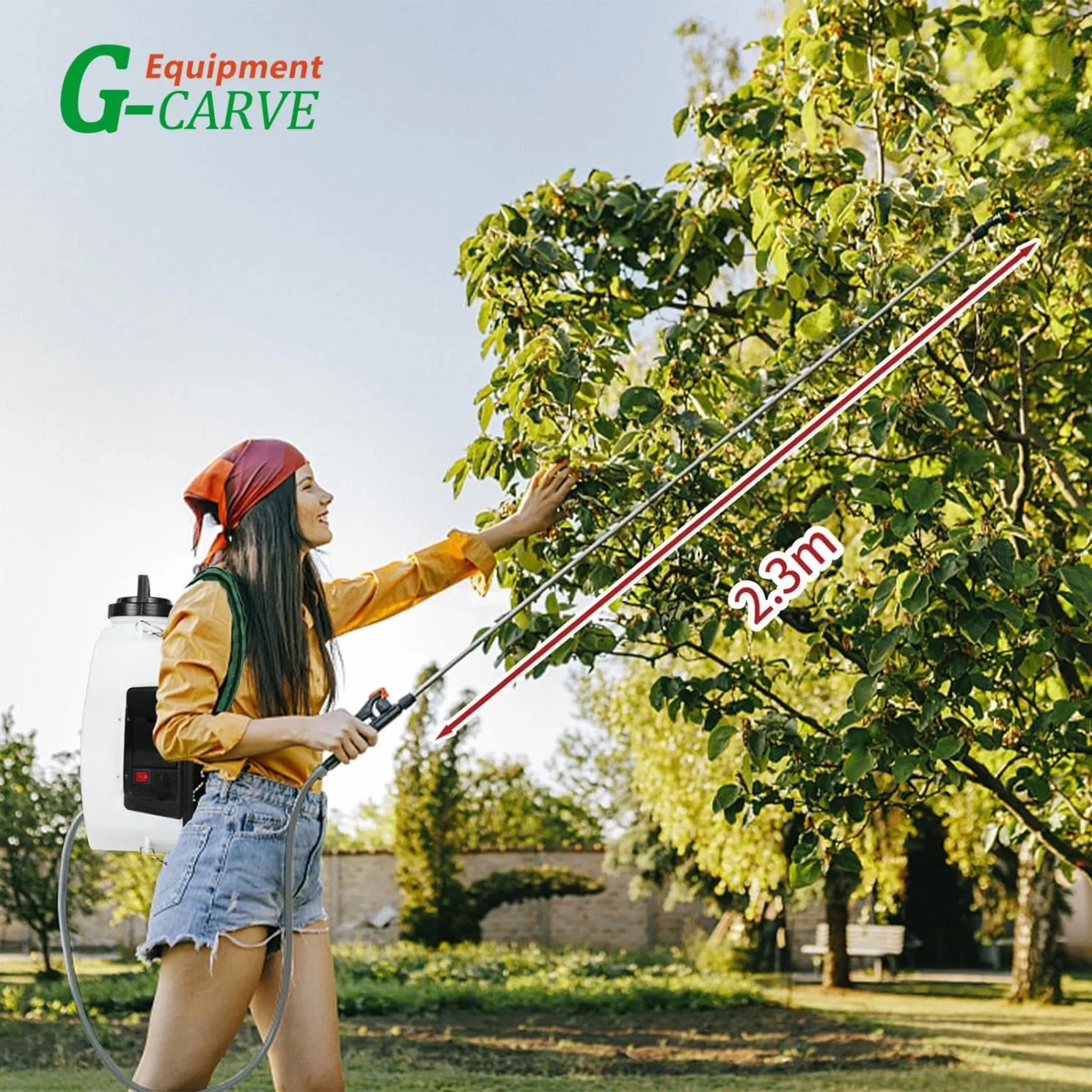 G-Carve Backpack 2-Stroke Petrol Powered Chemical Sprayer Fogger Mister Blower