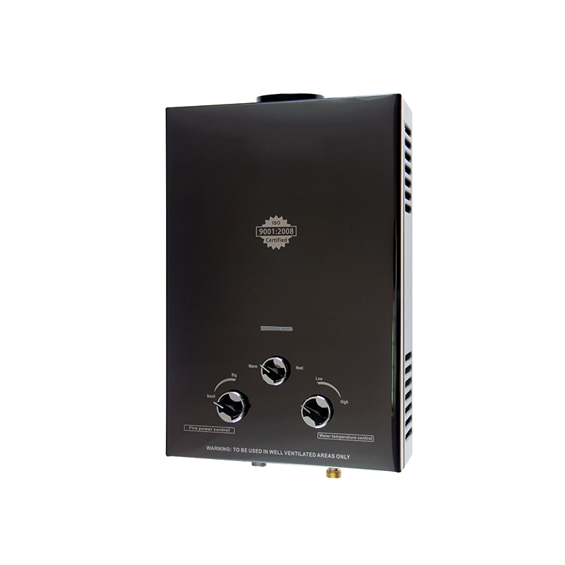 Home Appliance Instant Gas Water Heater with 220V Power Source for Efficient Heating