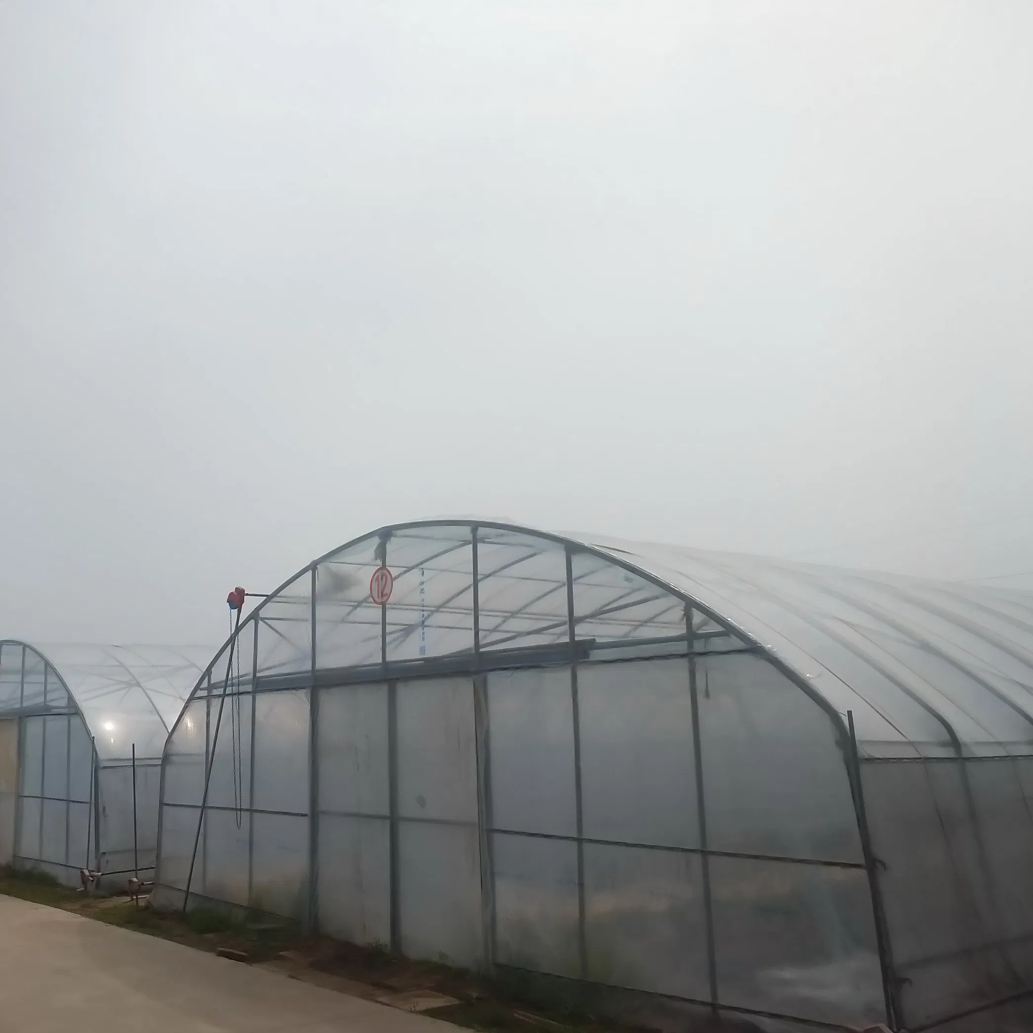 Customized Garden Products Flower House Warm Sunlight Vegetables Greenhouse with Cheap Price