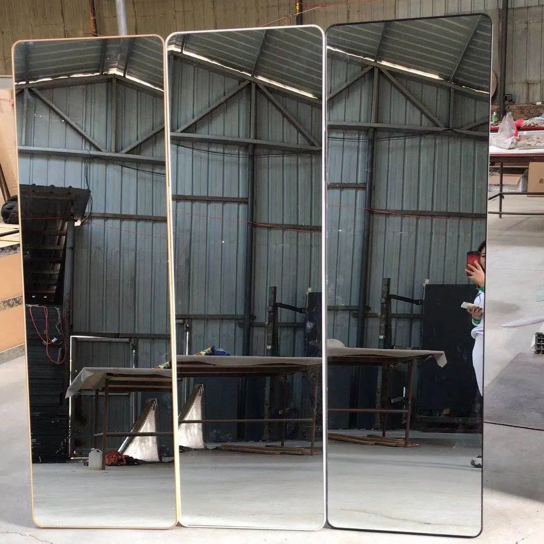 Wall Mounted Modern Multiple Sizes Full Body Length Dressing Mirror for Bedroom Bathroom