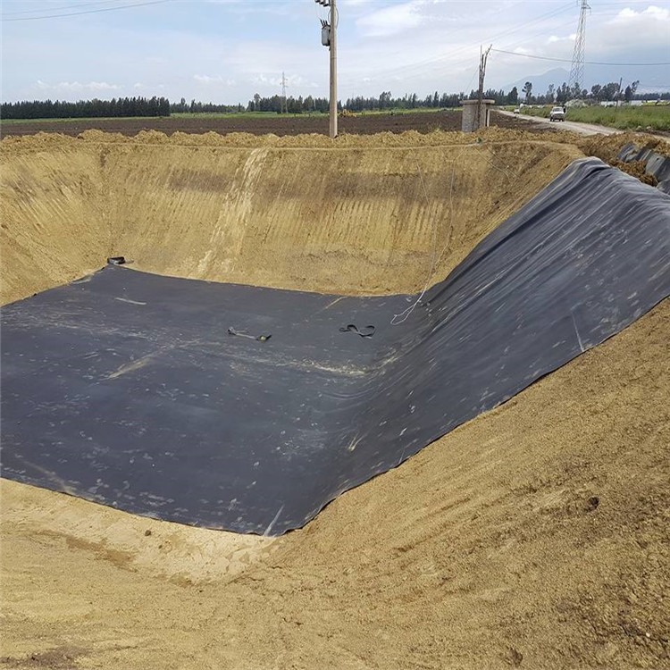 Waterproof Plastic 1.5mm HDPE Pond Liners 1mm Root Barrier Geomembrane