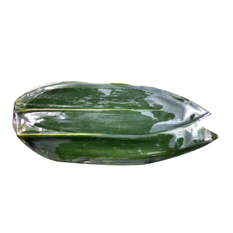 Restaurantware Green Fresh Bamboo Leaves Vaccuum Packed Sushi Leaves for Cooking and Home Use