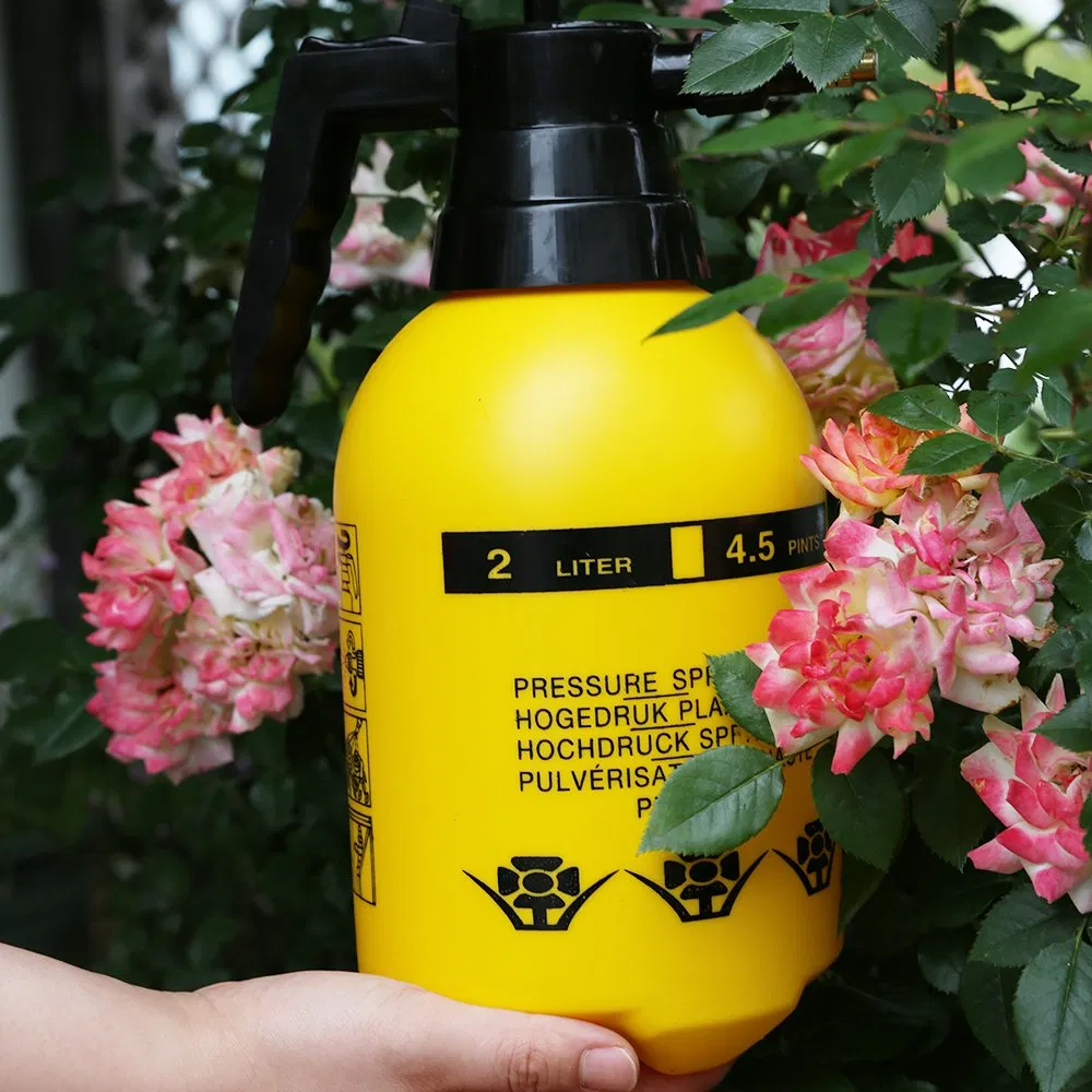 Rainmaker Customized 2 Liter Garden Plastic Mini Manual Pneumatic Sprayer
