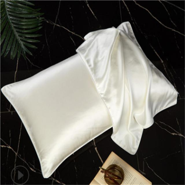 2024 New Arrive Skin-Freindly Soft Washable 100% Pure Silk Pillow Case