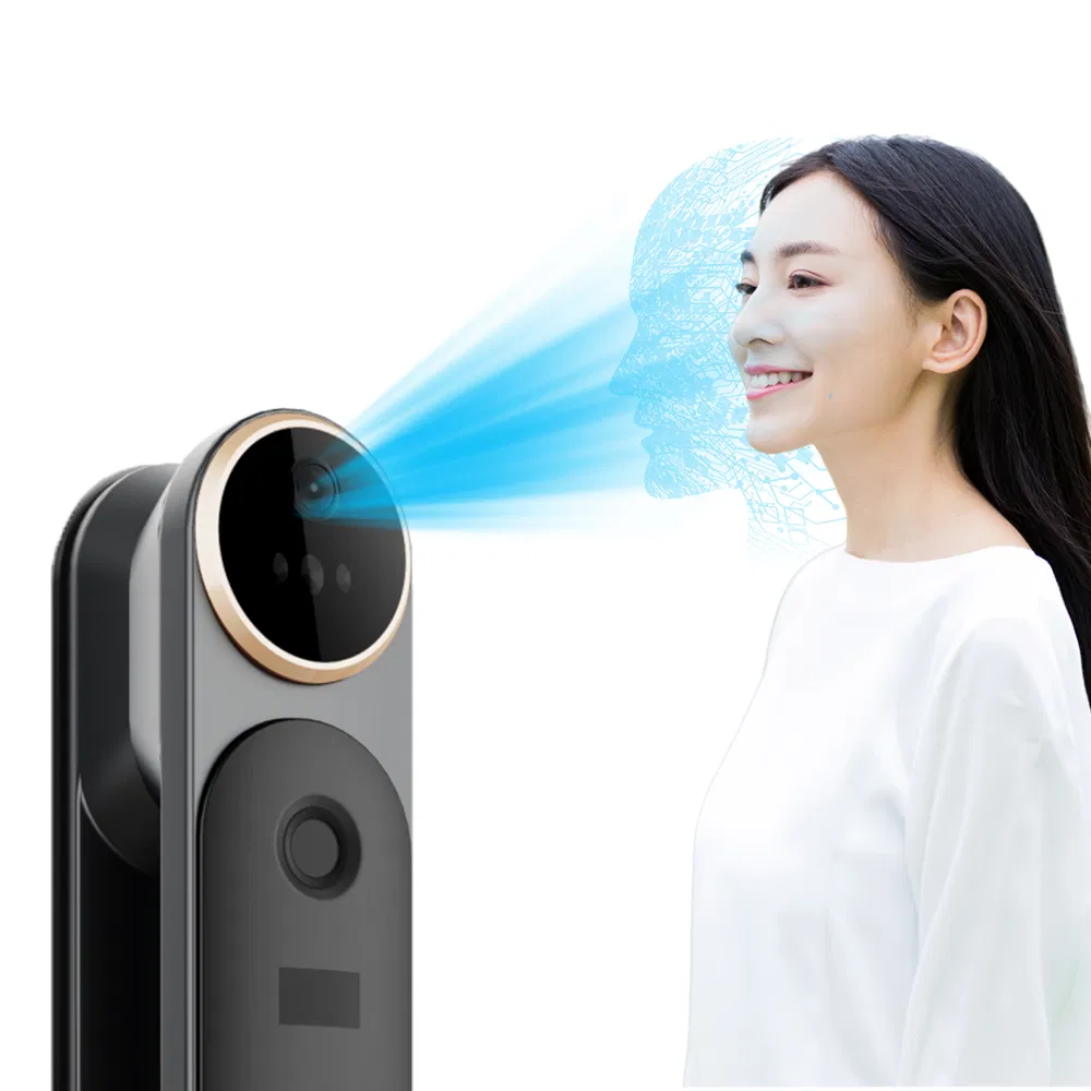 Face/Fingerprint/Password/Card/Palm Vein/Mechanical Key/Mobile Phone APP Smart Lock