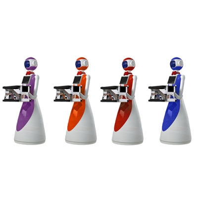 Humanoid Delivery with Intelligent Obstacle Avoidance-Lele Delivery Robot