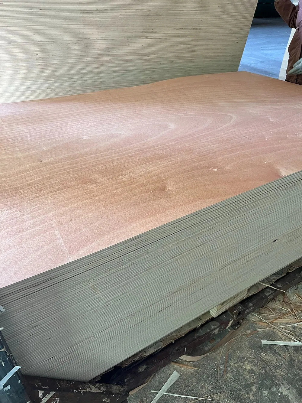 Exterior Plywood Pencil Ceder Okoume Bintangor Redwood Plywood