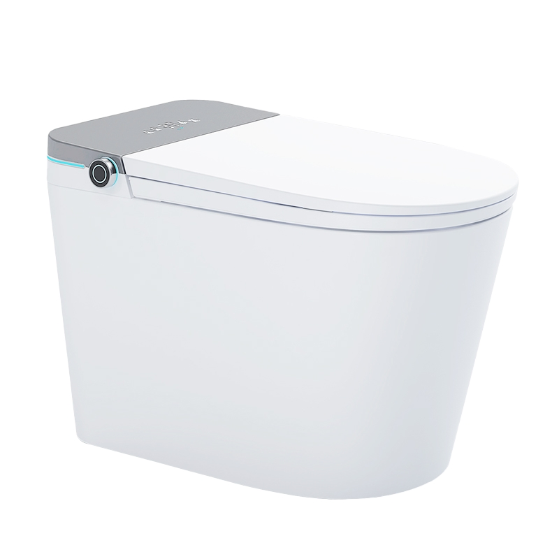 Simple and Popular Fashionable Intelligent Toilet